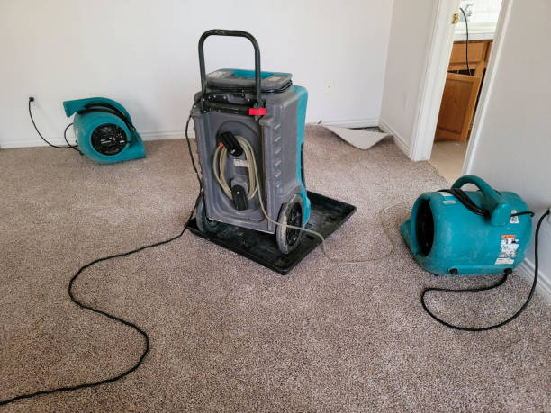 Best Flooded house restoration  in East Berwick, PA