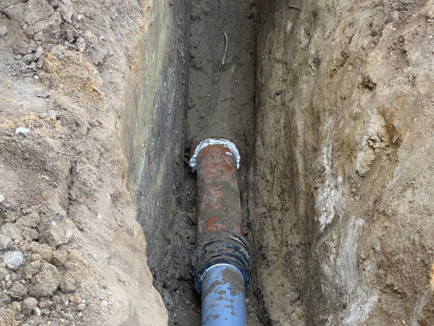 Best Professional water damage repair  in East Berwick, PA