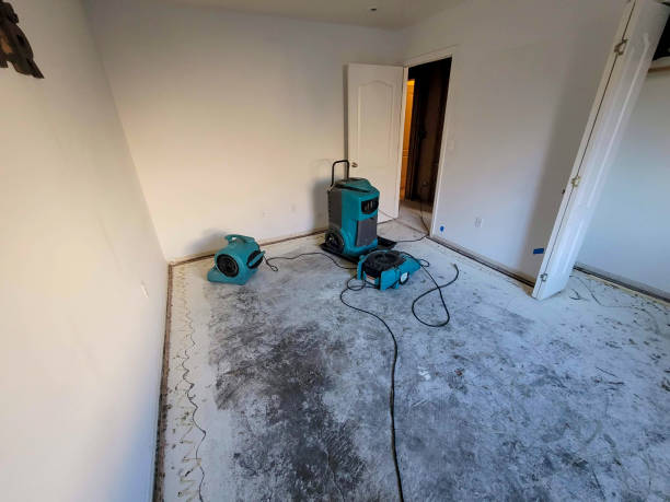 Best Fire Damage Restoration  in East Berwick, PA