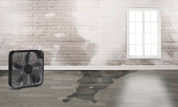 Best Commercial water damage restoration  in East Berwick, PA