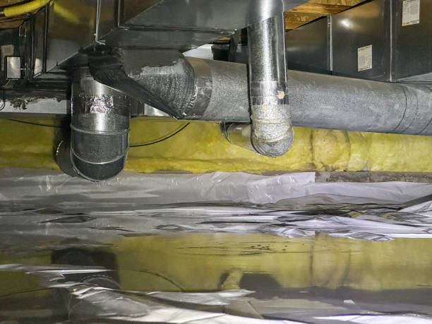 Best Water damage restoration near me  in East Berwick, PA
