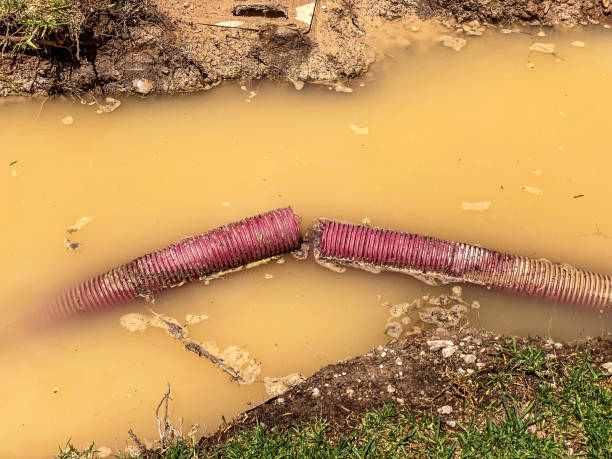  East Berwick, PA Water damage restoration Pros