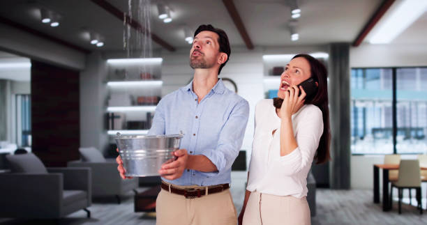 Best Carpet water damage restoration  in East Berwick, PA