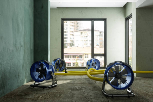Best Water damage contractors near me  in East Berwick, PA