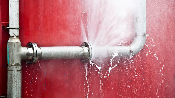 Best Sewage cleanup and water damage restoration  in East Berwick, PA